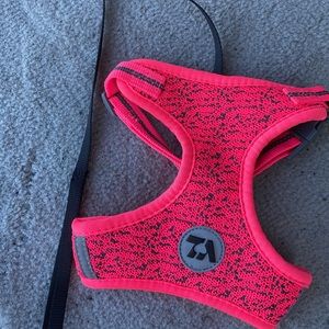 Cat harness with leash